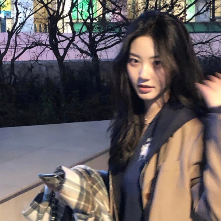 恐龙之王